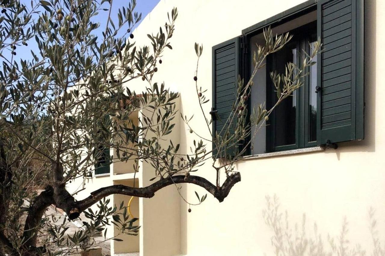 Villa Ulivella Schifoni Extérieur photo