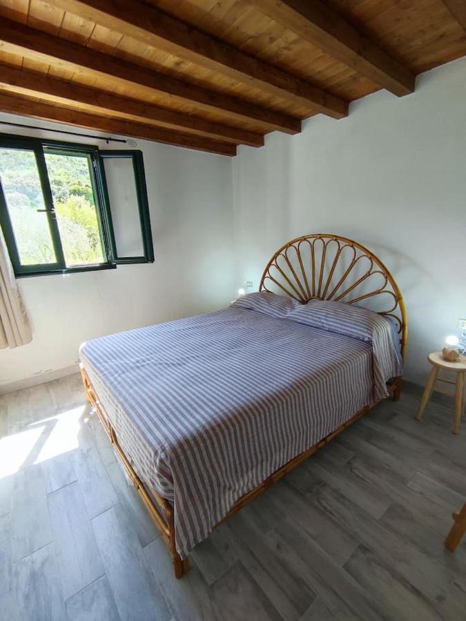 Villa Ulivella Schifoni Extérieur photo