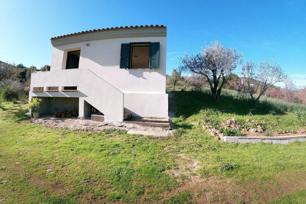 Villa Ulivella Schifoni Extérieur photo